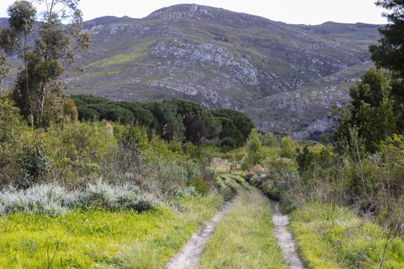 South Africa