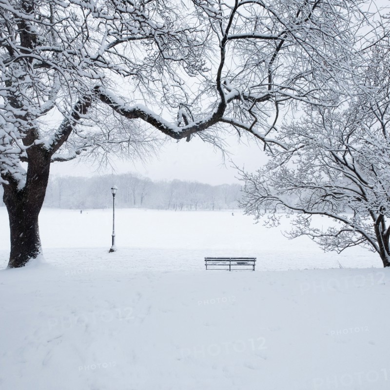 Bench and bare trees covered with snow in Brooklyn Prospect Park, New York, New York, USA
