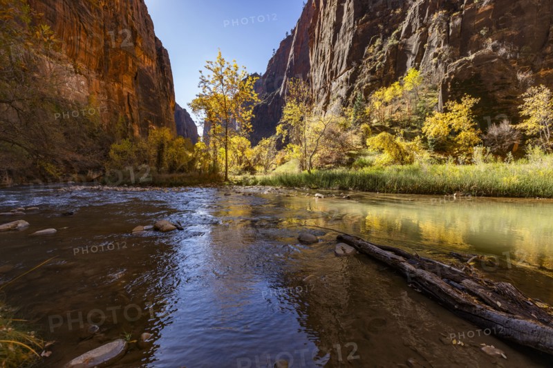 Calm Virgin River and rock formations in Zion National Park in autumn, , Utah, USA