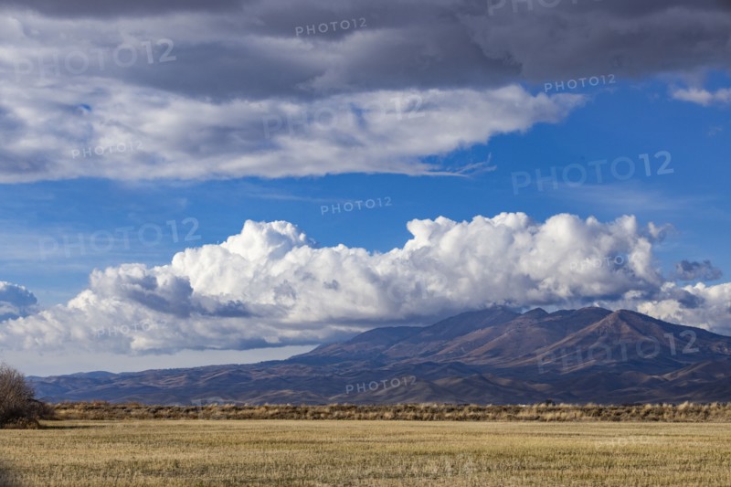 Puffy clouds over mountains with grassy field in foreground, Fairfield, Idaho, USA