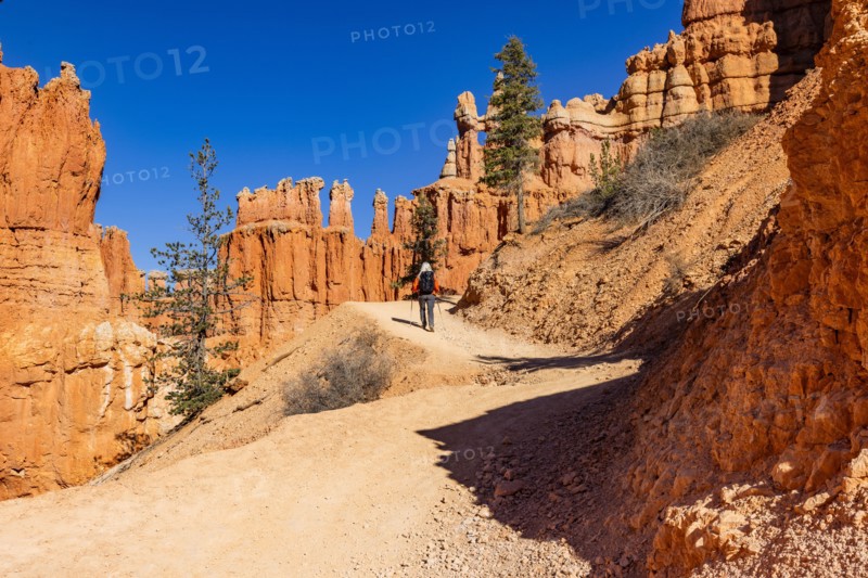 Rear view of woman hiking in Bryce Canyon National Park on sunny day, , Utah, USA