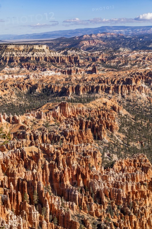 Sandstone rock formations in Bryce Canyon National Park, , Utah, USA