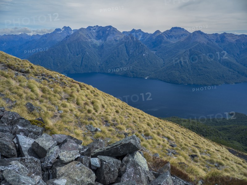 Fjord surrounded by green mountains in Fiordland National Park, Te Anau, Fiordland, New Zealand