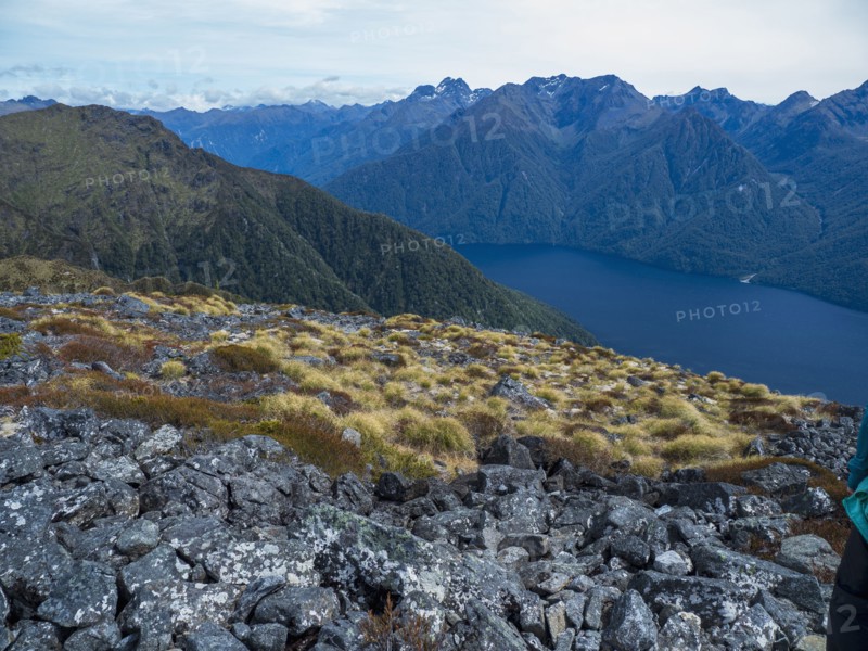 Fjord surrounded by green mountains in Fiordland National Park, Te Anau, Fiordland, New Zealand