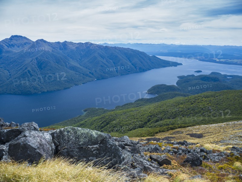Fjord surrounded by green mountains in Fiordland National Park, Te Anau, Fiordland, New Zealand