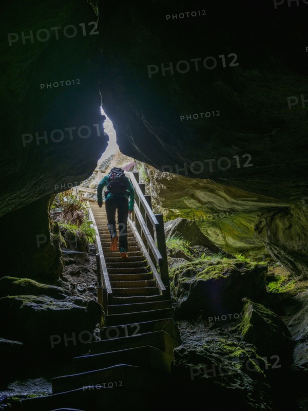 Rear view of hiker on steps in Fiordland National Park, Te Anau, Fiordland, New Zealand