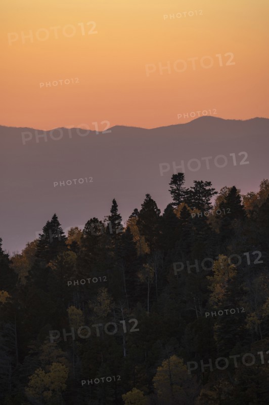 Usa, New Mexico, Santa Fe, Forest and Sangre De Cristo Mountains at sunset, Santa Fe, New Mexico, USA