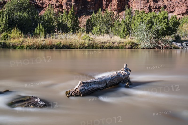 Usa, New Mexico, Abiquiu, Rio Chama, Tree trunk in Chama River, long exposure, Abiquiu, New Mexico, USA