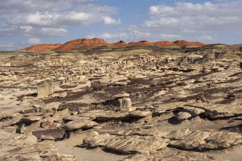 Usa, New Mexico, Bisti Wilderness, Rock formations in Bisti/De-Na-Zin Wilderness, , New Mexico, USA