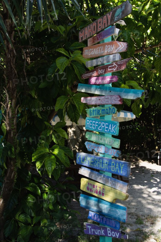 USA, United States Virgin Islands, St. John, Colorful wooden signpost, St. John, United States Virgin Islands, USA