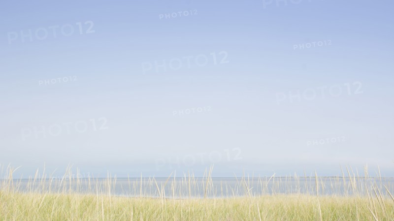 USA, M, Nantucket, View of Nantucket Sound from Madaket with grass in foreground, Nantucket, Massachusetts, USA