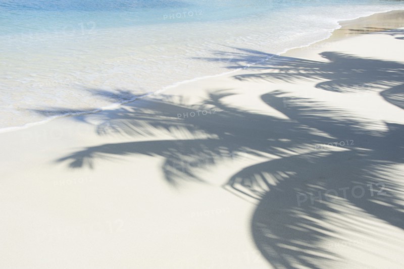 USA, United States Virgin Islands, St. John, Shadows of palm trees on white sand beach, St. John, United States Virgin Islands, USA