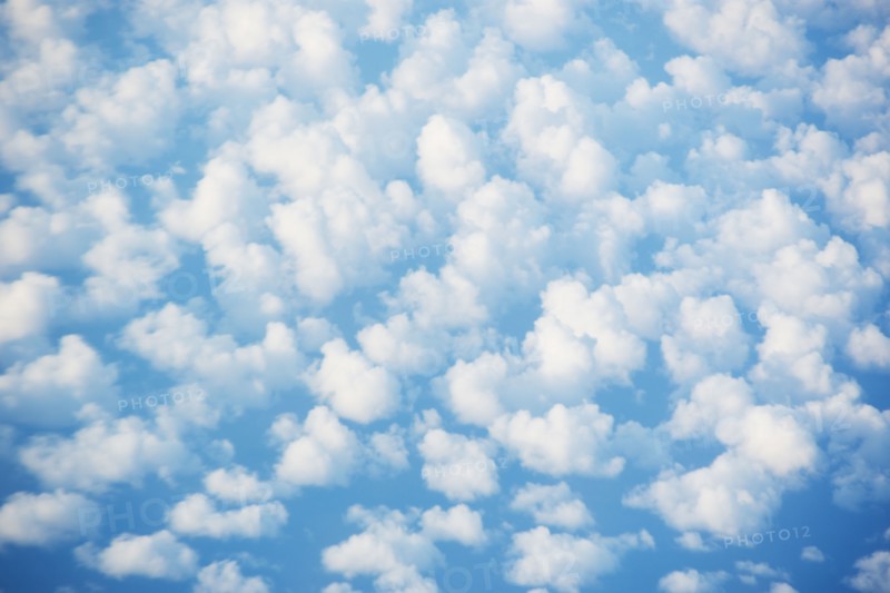 White cumulus clouds against blue sky, Tampa, Florida, USA