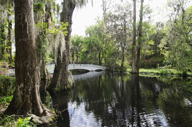 USA, South Carolina, Charleston, White Bridge at Magnolia Plantation, Charleston, South Carolina, USA
