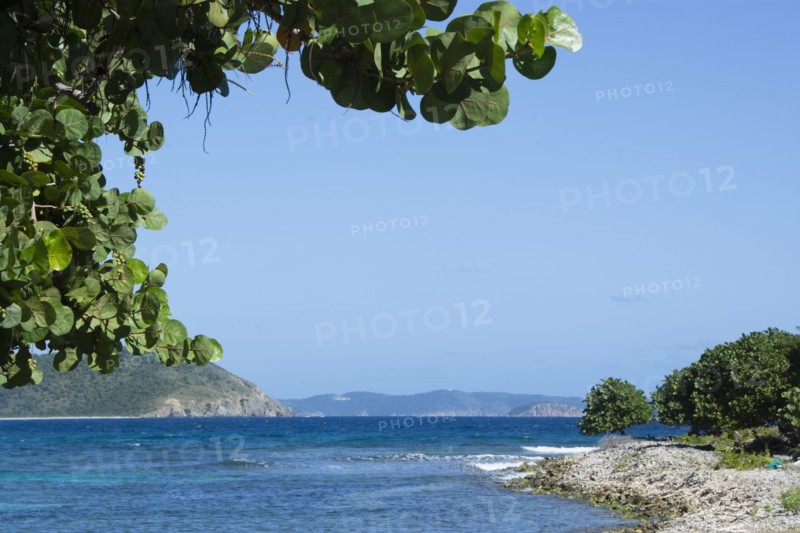 USA, Virgin Islands, St. John, Sea Grapes overhang view of Friis Bay, St. John, United States Virgin Islands, USA