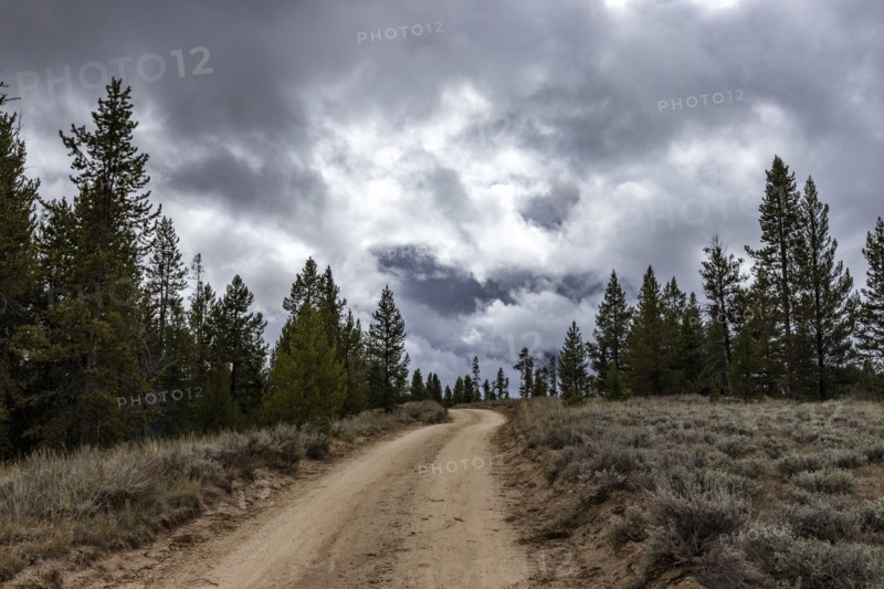 USA, Idaho, Dirt road leads through Sawtooth National Forest on cloudy day, Stanley, Idaho, USA