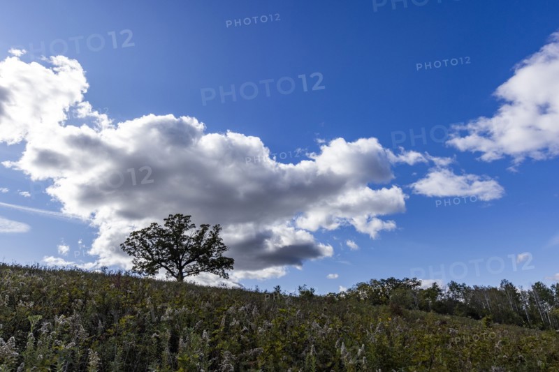 USA, Wisconsin, Clouds over landscape in Donald County Park near Madison, Mt. Horeb, Wisconsin, USA