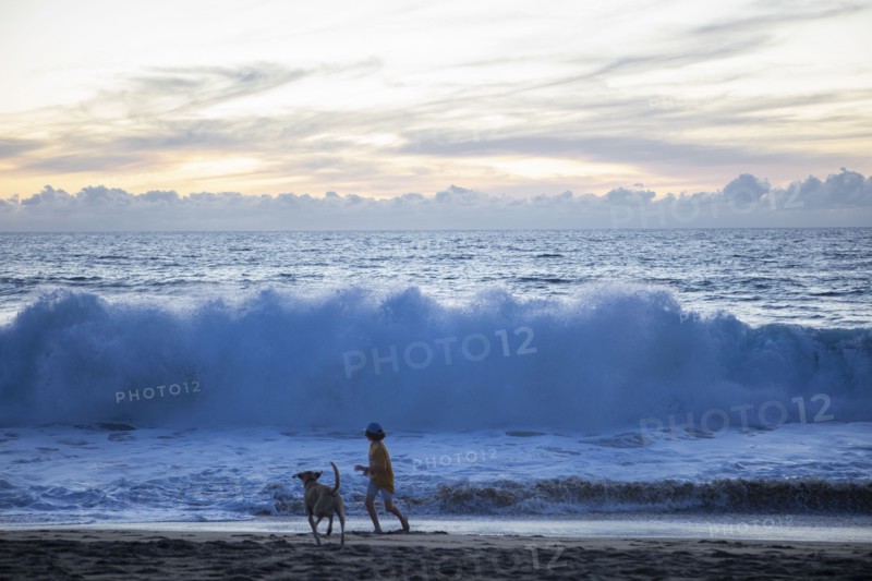 Mexico, Baja, Pescadero, Silhouette of boy and dog on beach at dusk, Pescadero, Baja, Mexcio