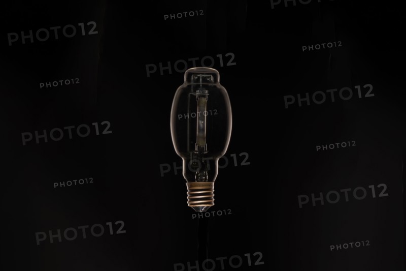Studio shot of light bulb against black background, Austin, Texas, USA