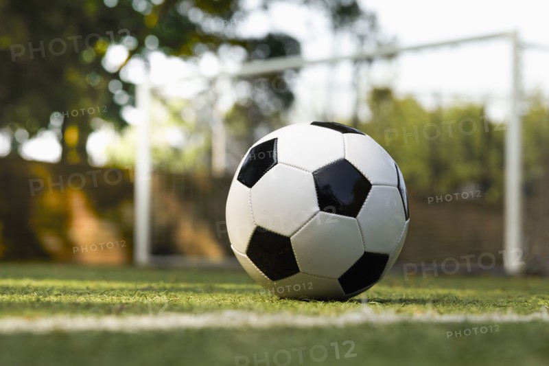 USA, New York State, New York City, Soccer ball on turf field, New York City, New York, USA