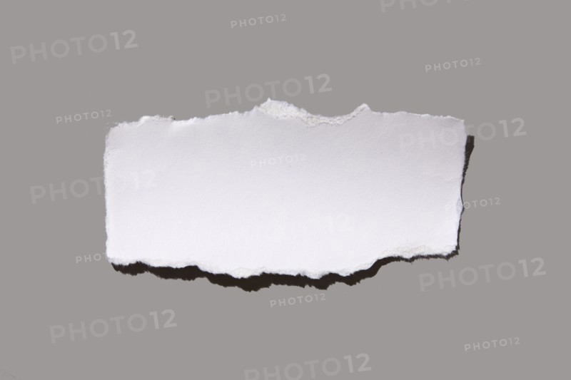 Torn peace of paper on gray background, New York City, New York, USA