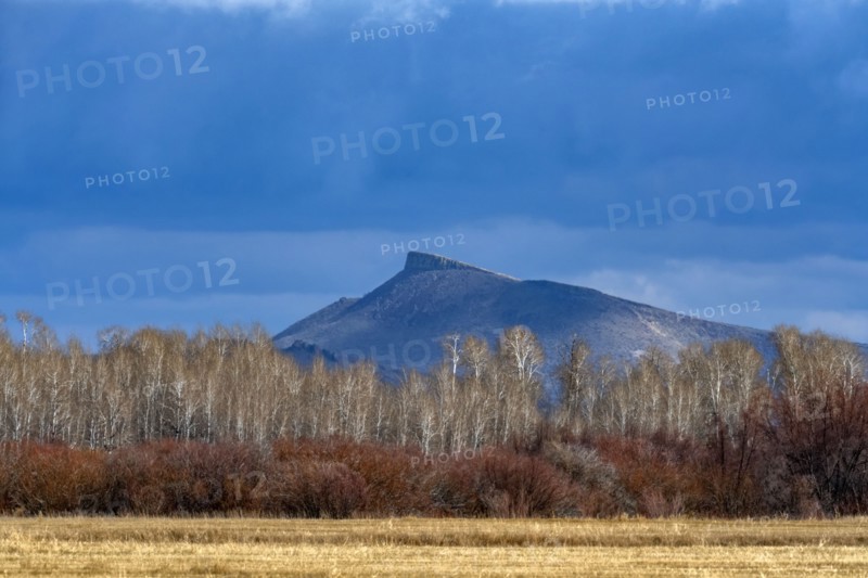 Clouds over field, bushes and trees with Queens Crest mountain in background, Bellevue, Idaho, USA