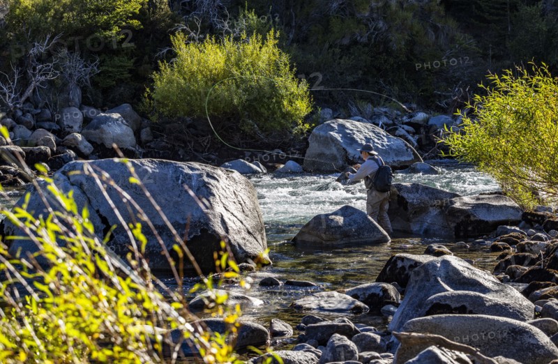Fly fisherman casting for wild trout on Traful River, Estancia Arroyo Verde, Nequen Province, Argentina