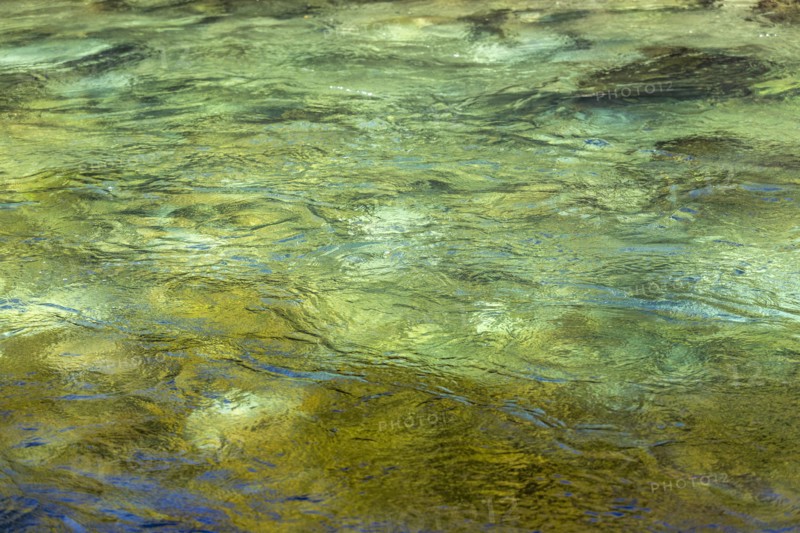 Green surface of shallow river, Estancia Arroyo Verde, Nequen Province, Argentina