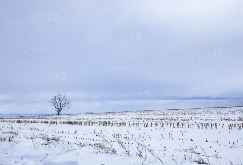Empty highway 20 crossing snow covered fields in winter, Gooding, Idaho, USA