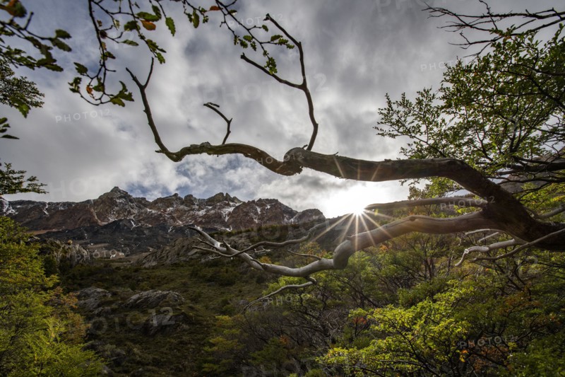 Argentina, Santa Cruz, El Chalten, Sun on ridge of Electrico Valley, El Chalten, Santa Cruz, Argentina