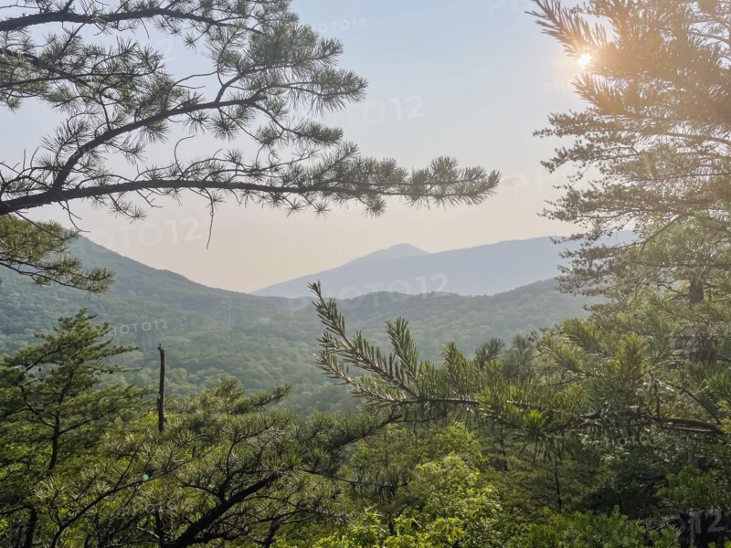 USA, Virginia, Blacksburg, Sun shining through tree branches in hilly landscape, Blacksburg, Virginia, USA