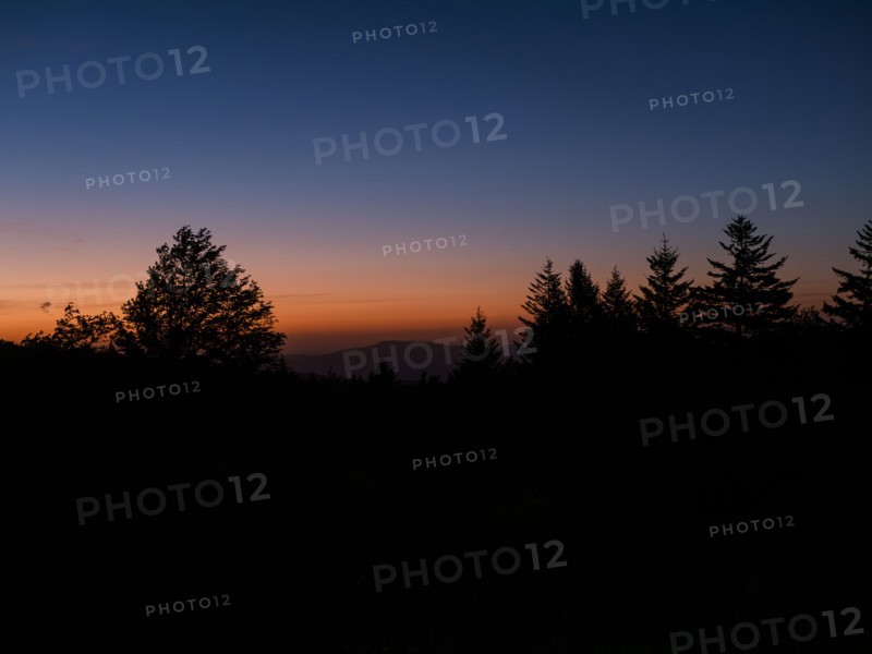 USA, Virginia, Mount Rogers National Recreation Area, Silhouettes of trees against sky at sunrise, Mount Rogers National Recreation Area, Virginia, USA