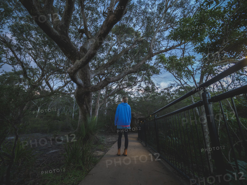Rear view of woman standing on footpath and looking at trees
Katoomba, New South Wales, Australia