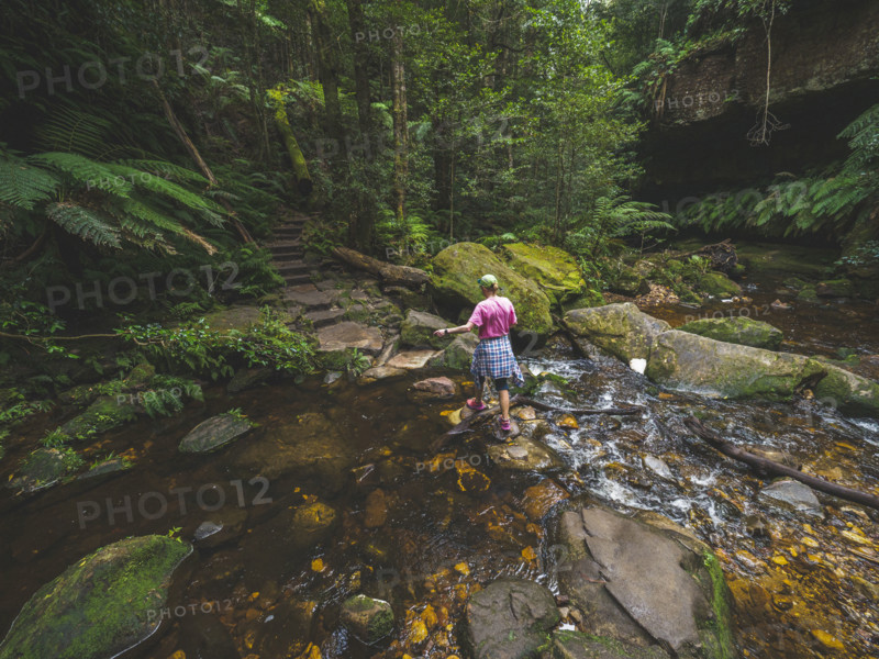 Rear view of woman crossing shallow stream in forest
Blackheath, New South Wales, Australia