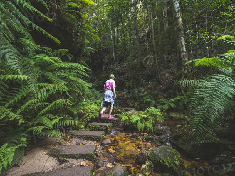Rear view of woman walking on stone steps in forest
Blackheath, New South Wales, Australia