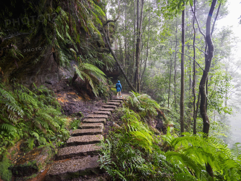 Rear view of woman climbing up stone steps in forest
Katoomba, New South Wales, Australia