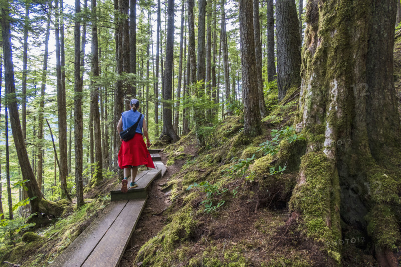 Rear view of woman walking on boardwalk in forest
Wrangall, Alaska, USA