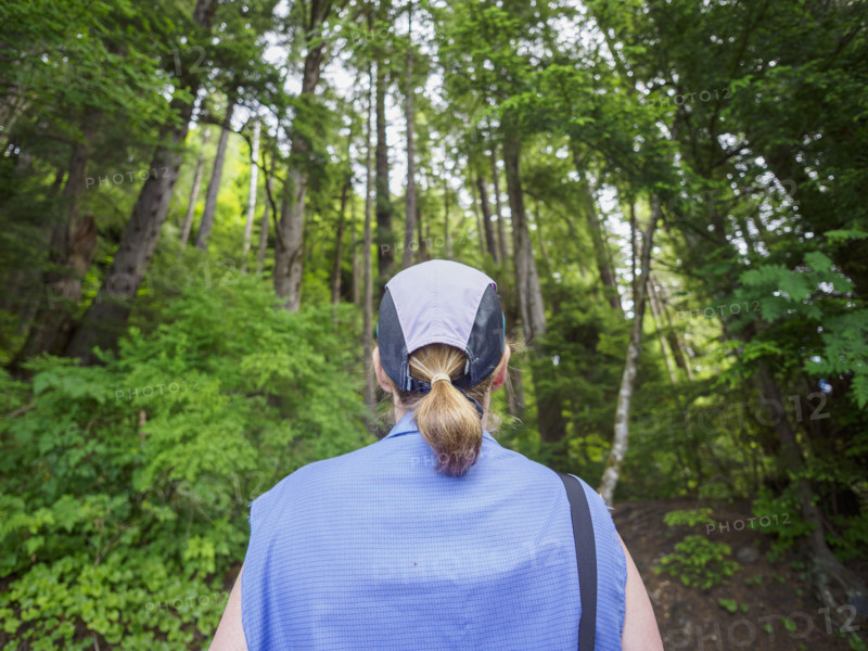 Rear view of woman walking in forest
Wrangall, Alaska, USA