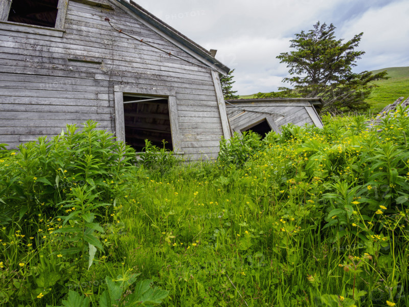 Abandoned wooden house in field
Unga Village, Alaska, USA