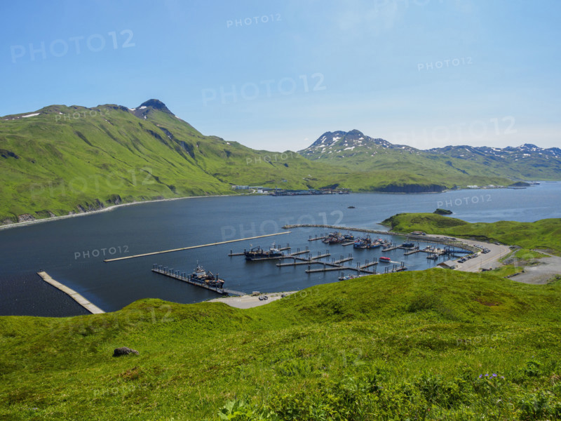 High angle view of boats moored at Dutch Harbor
Unalaska, Dutch Harbour, Alaska, USA