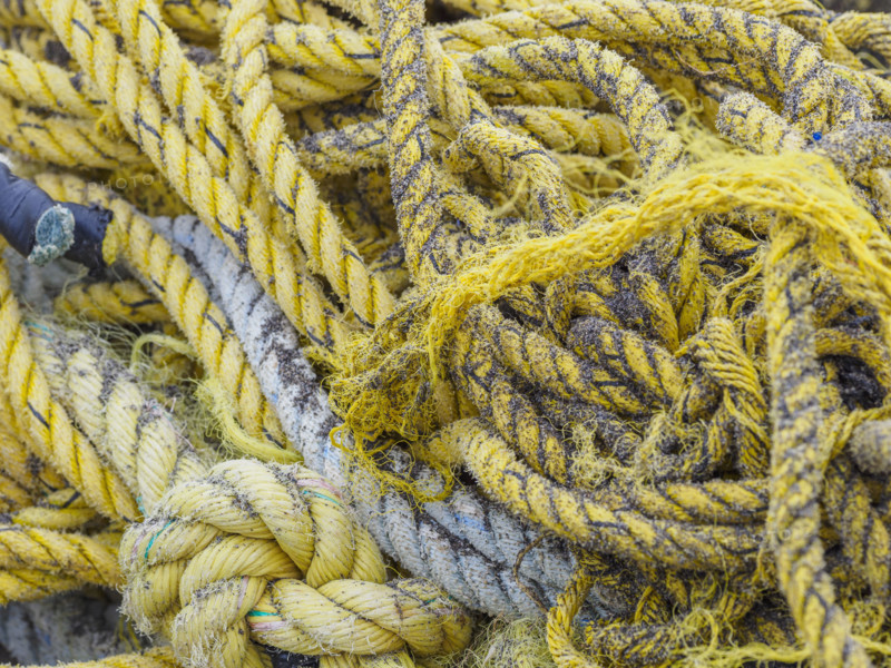 Close-up of old tangled fishing ropes
St Matthew Island, Alaska, USA