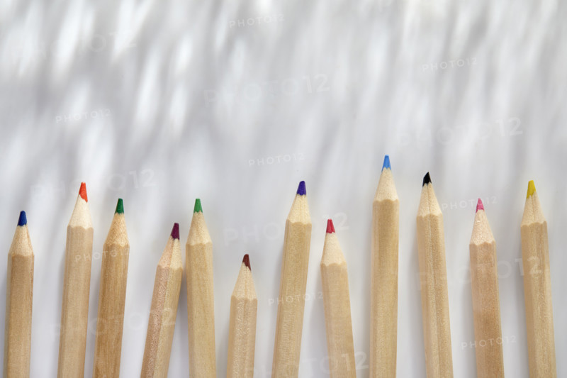 Colorful pencils on white background
New York City, New York State, USA
