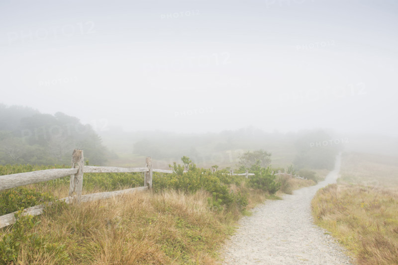 Path to the Nantucket Cliffs in fog
Nantucket, Massachusetts, USA