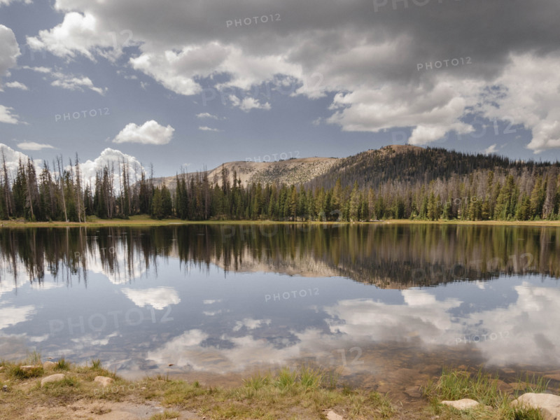 Clouds, trees and hills reflected in Mirror Lake
Unita-Wasatch-Cache National Forest, Utah, USA