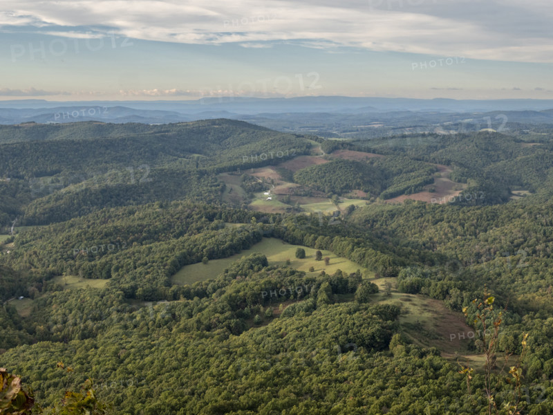 High angle view of green hills and forests
Floyd, Virginia, USA