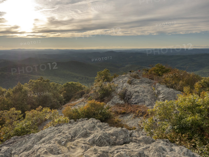 Rocks and bushes in landscape at sunset
Floyd, Virginia, USA