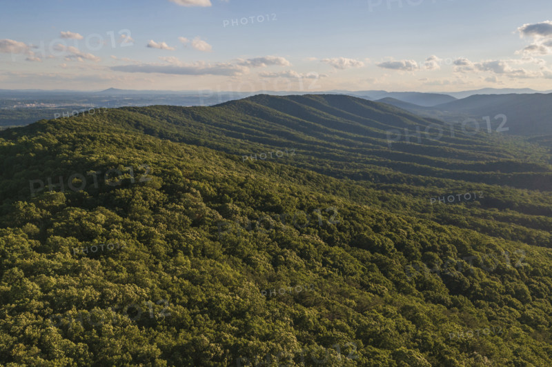 Green forested hills om sunny day
Blacksburg, Virginia, USA