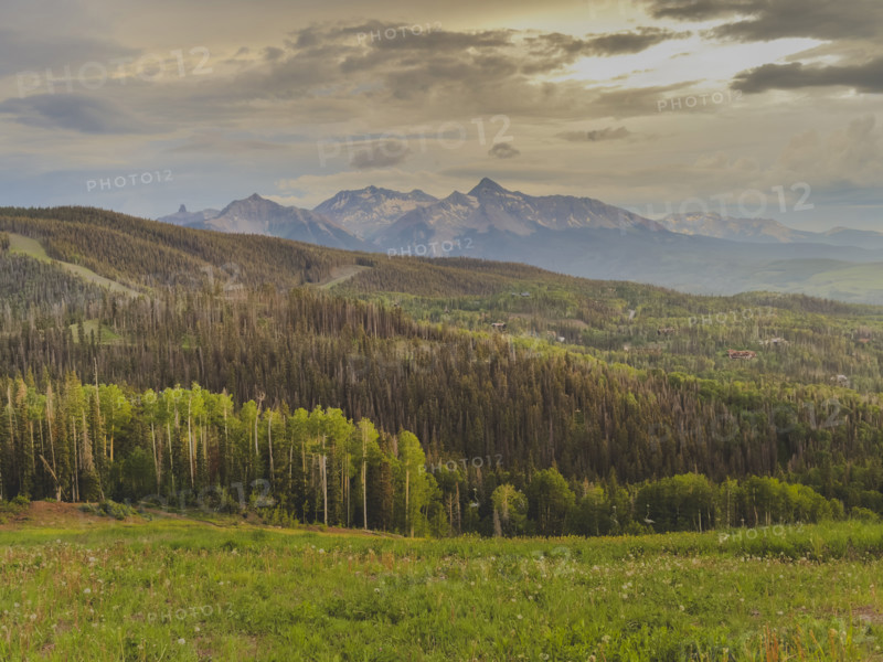 Forest and San Juan Mountains at sunset
Telluride, Colorado, USA