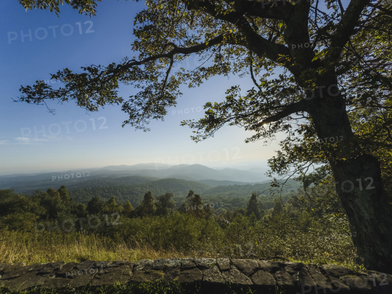 Trees and mountains with old stone wall in foreground
Floyd, Virginia, USA