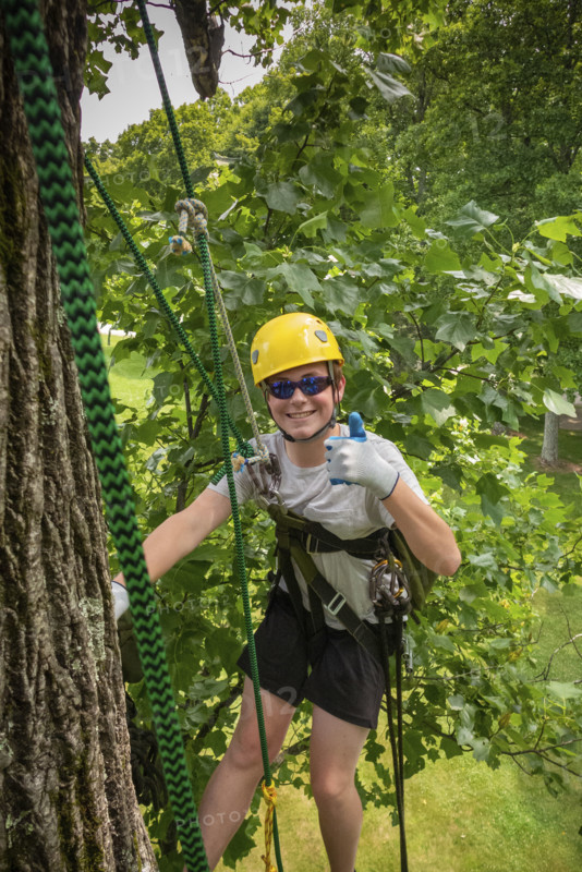 Portrait of smiling teenage boy (16-17) tree climbing
Meadows of Dan, Virginia, USA